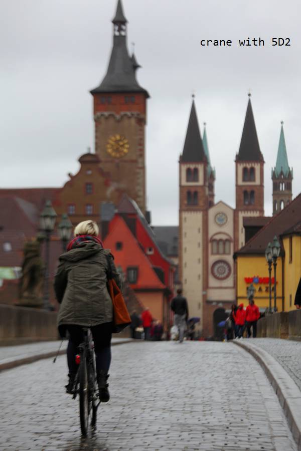 IMG_3900.JPG IMG_3900.JPG