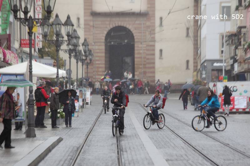 IMG_3929.JPG IMG_3929.JPG