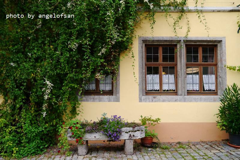 P1150429.JPG P1150429.JPG