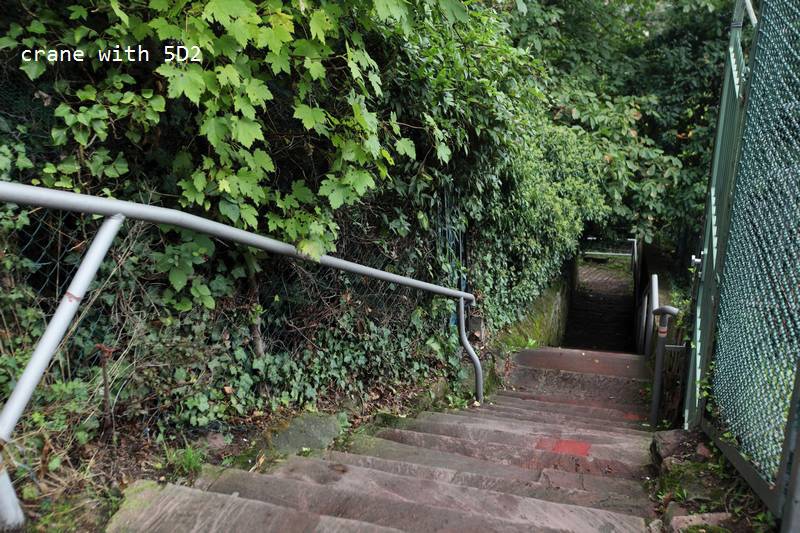 IMG_4085.JPG IMG_4085.JPG