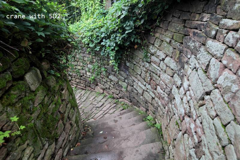 IMG_4093.JPG IMG_4093.JPG