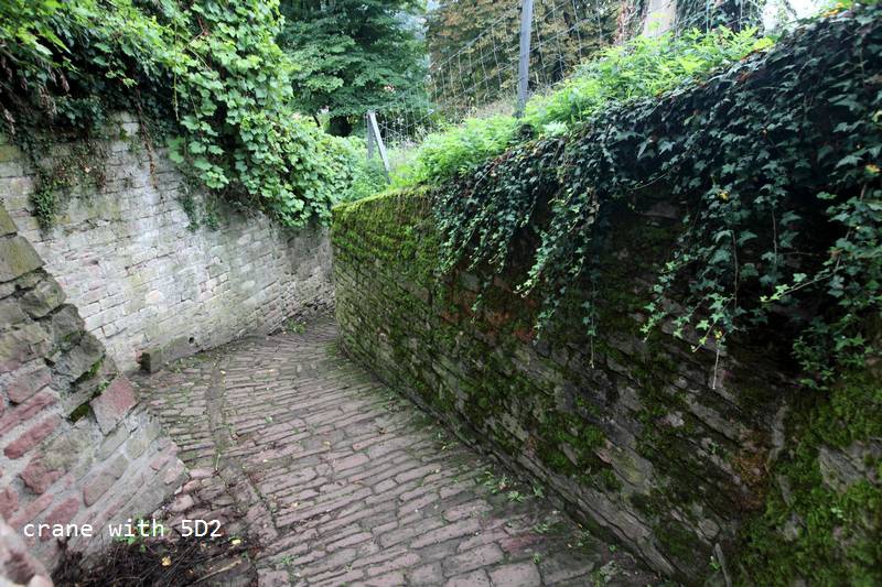 IMG_4100.JPG IMG_4100.JPG