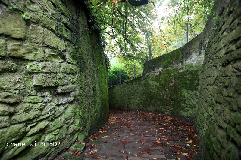 IMG_4103.JPG IMG_4103.JPG