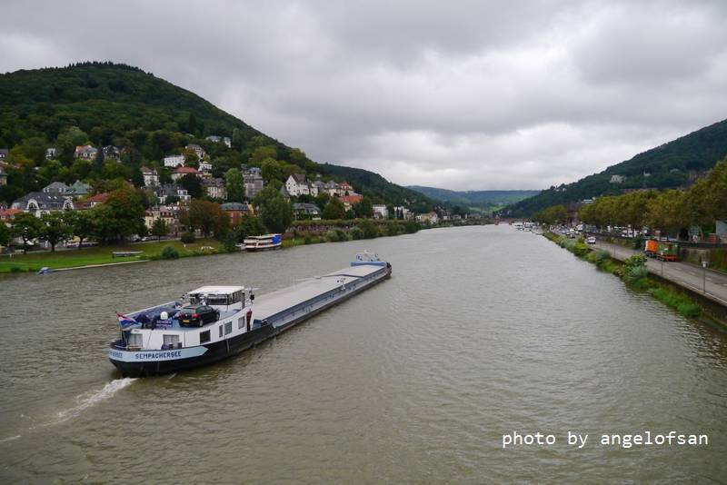 P1150551.JPG P1150551.JPG