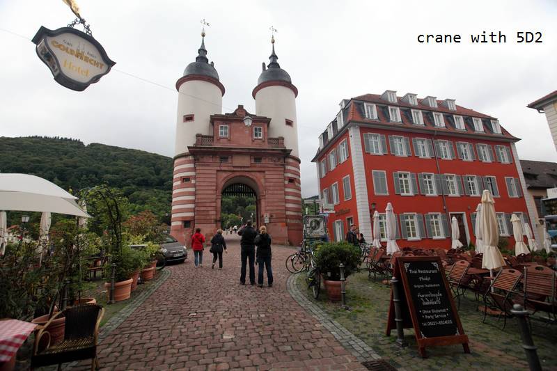 IMG_4135.JPG IMG_4135.JPG