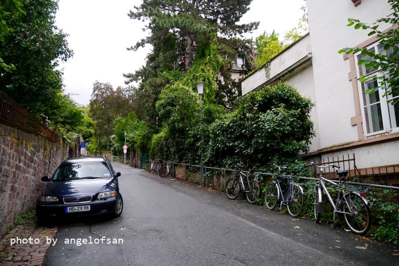 P1150556.JPG P1150556.JPG