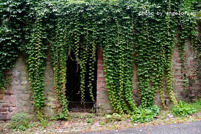 P1150559.JPG P1150559.JPG