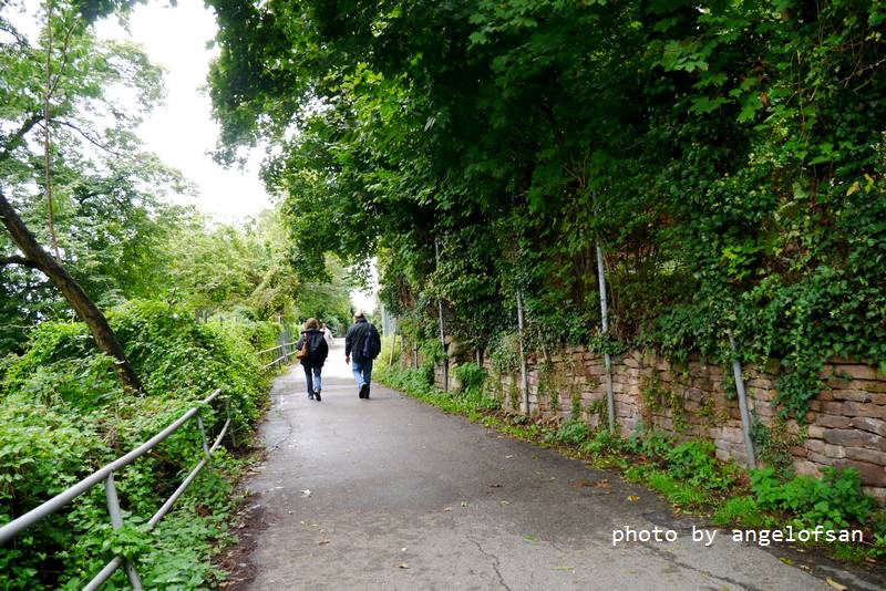 P1150569.JPG P1150569.JPG