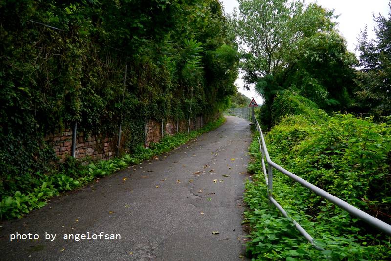 P1150570.JPG P1150570.JPG