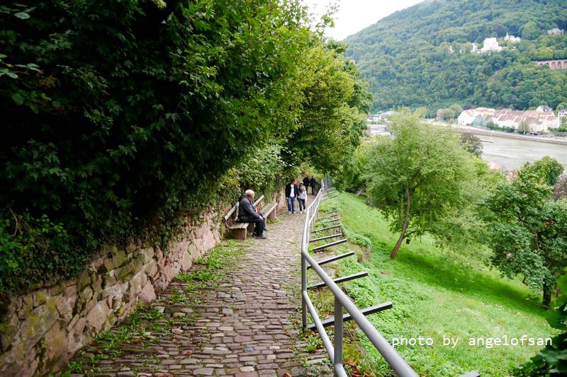 P1150581.JPG P1150581.JPG