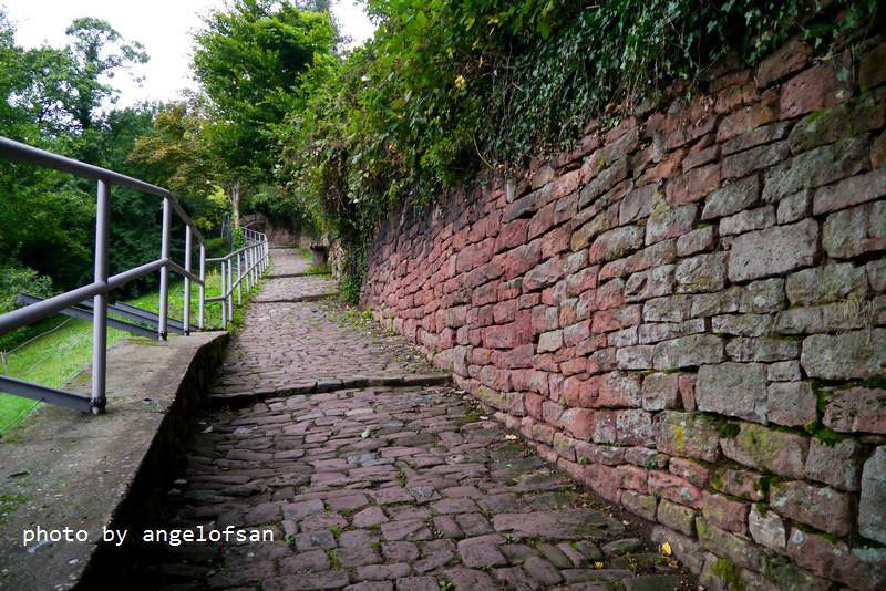 P1150588.JPG P1150588.JPG