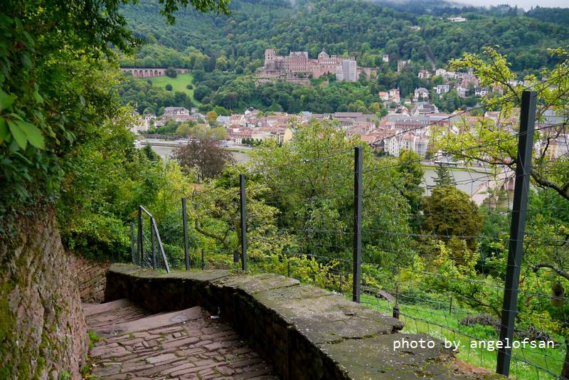 P1150594.JPG P1150594.JPG