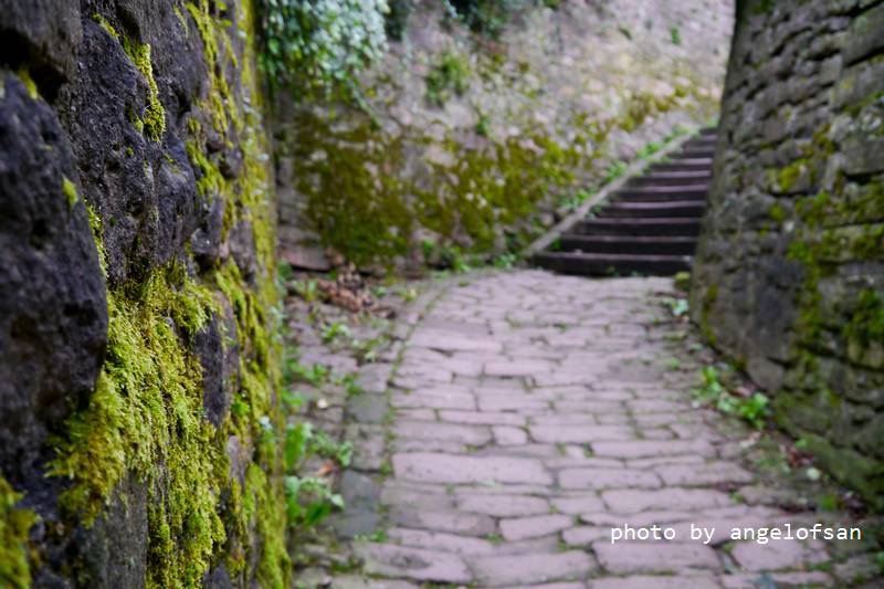 P1150609.JPG P1150609.JPG