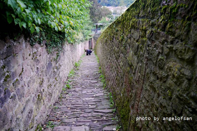 P1150604.JPG P1150604.JPG