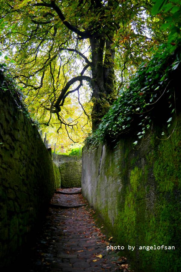 P1150612.JPG P1150612.JPG