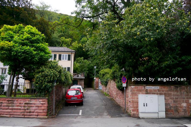 P1150618.JPG P1150618.JPG