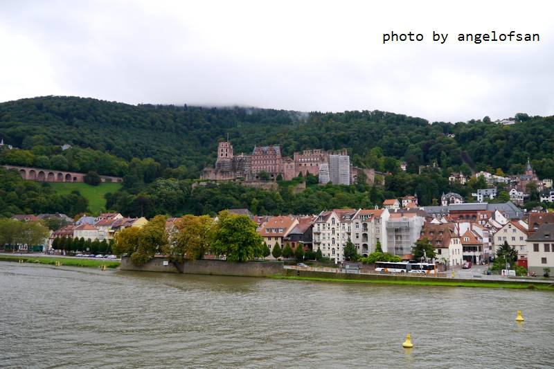 P1150623.JPG P1150623.JPG