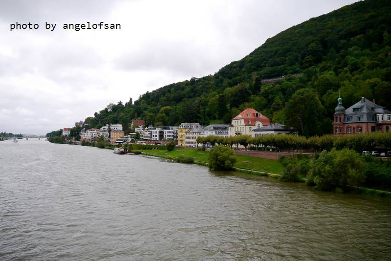 P1150629.JPG P1150629.JPG