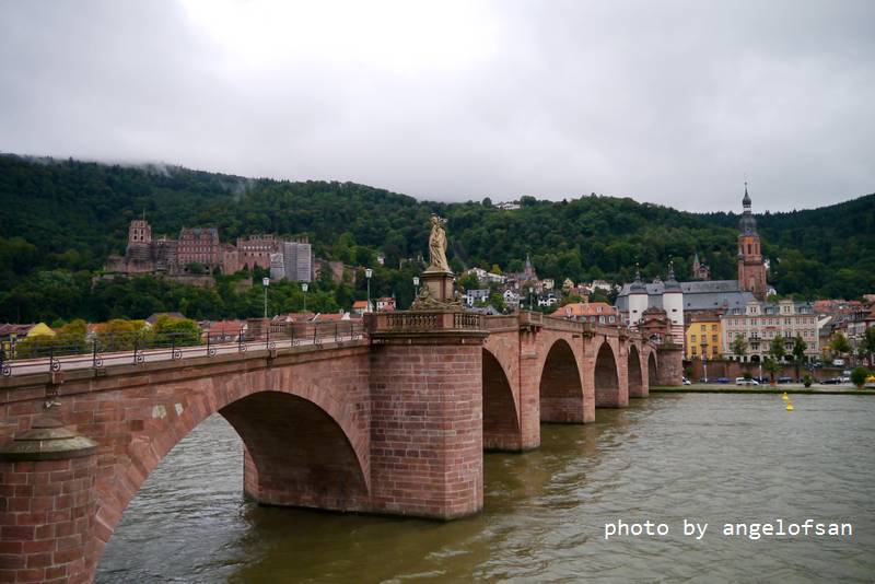 P1150619.JPG P1150619.JPG