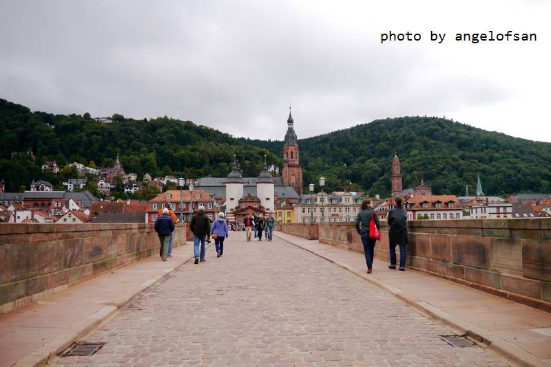 P1150628.JPG P1150628.JPG