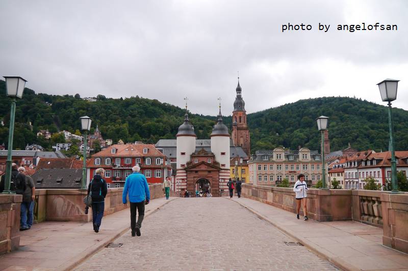 P1150630.JPG P1150630.JPG