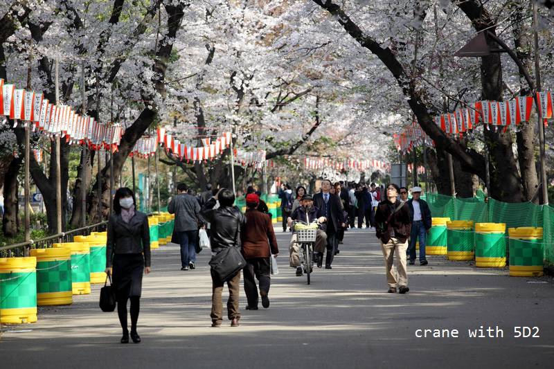 IMG_8401.JPG IMG_8401.JPG