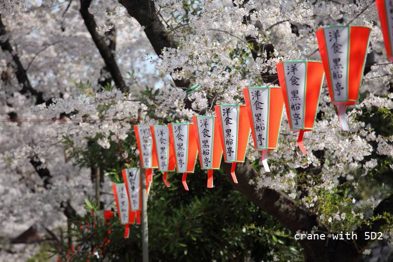 IMG_8411.JPG IMG_8411.JPG