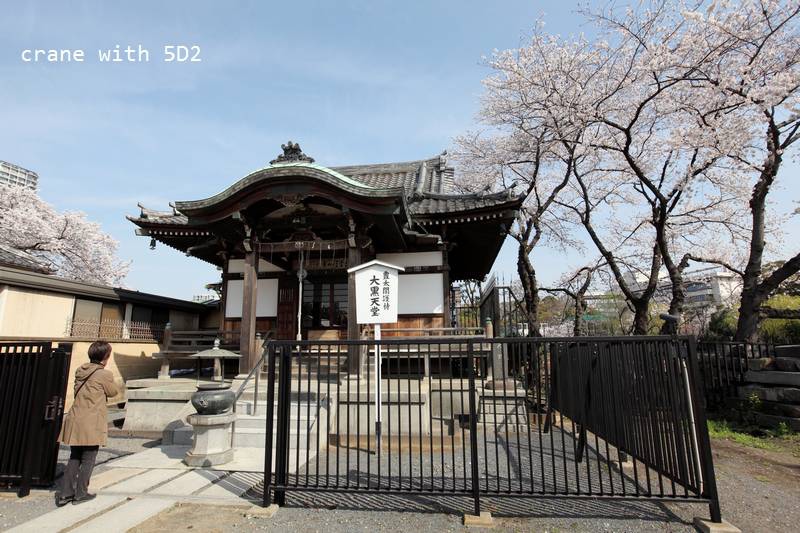 IMG_8426.JPG IMG_8426.JPG