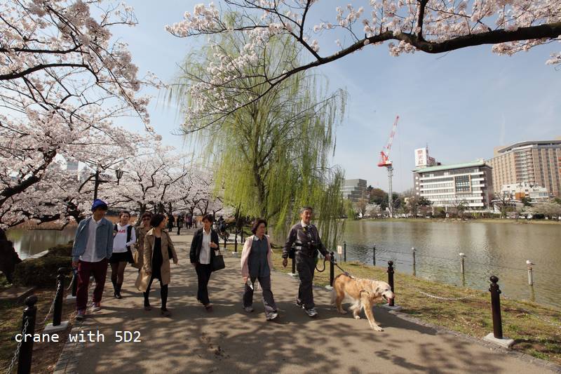 IMG_8458.JPG IMG_8458.JPG