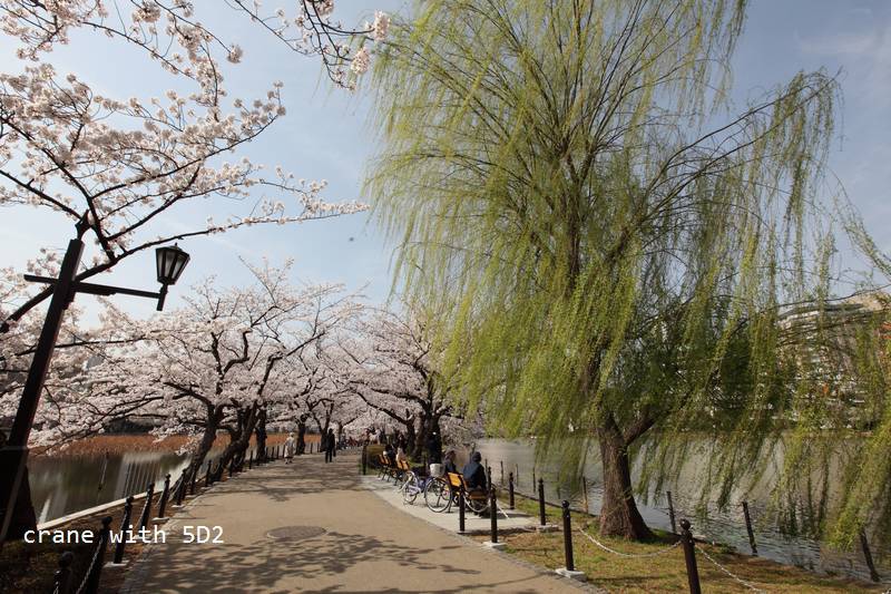 IMG_8462.JPG IMG_8462.JPG