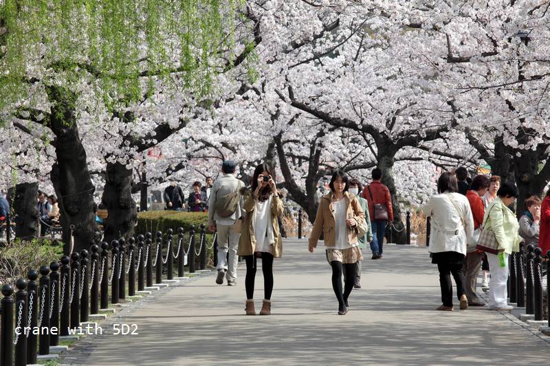 IMG_8483.JPG IMG_8483.JPG