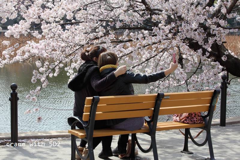 IMG_8485.JPG IMG_8485.JPG