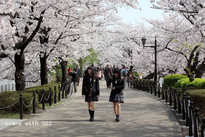 IMG_8501.JPG IMG_8501.JPG