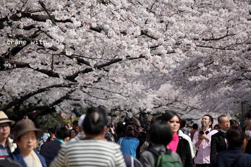 IMG_8538.JPG IMG_8538.JPG