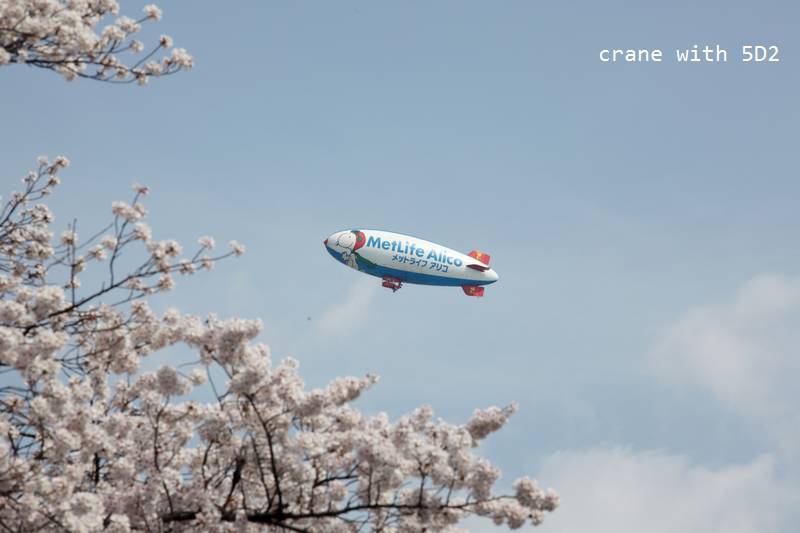 IMG_8551.JPG IMG_8551.JPG