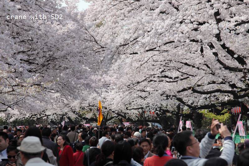 IMG_8554.JPG IMG_8554.JPG