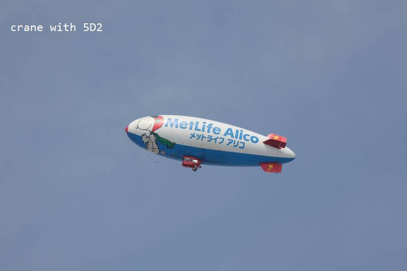 IMG_8568.JPG IMG_8568.JPG