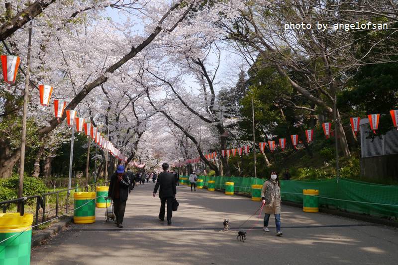 P1230156.JPG P1230156.JPG