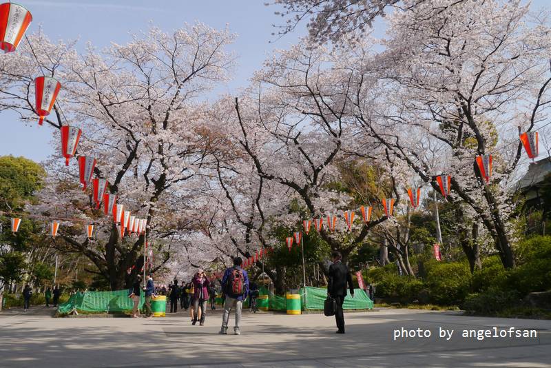 P1230159.JPG P1230159.JPG