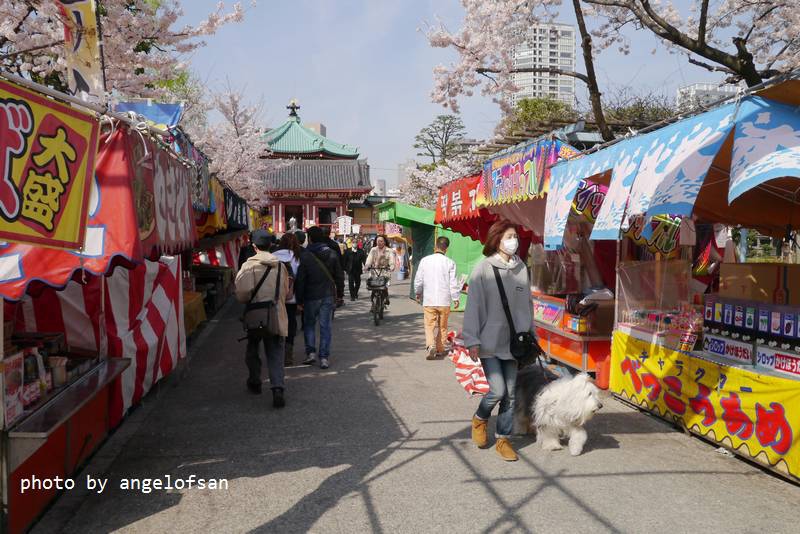 P1230164.JPG P1230164.JPG