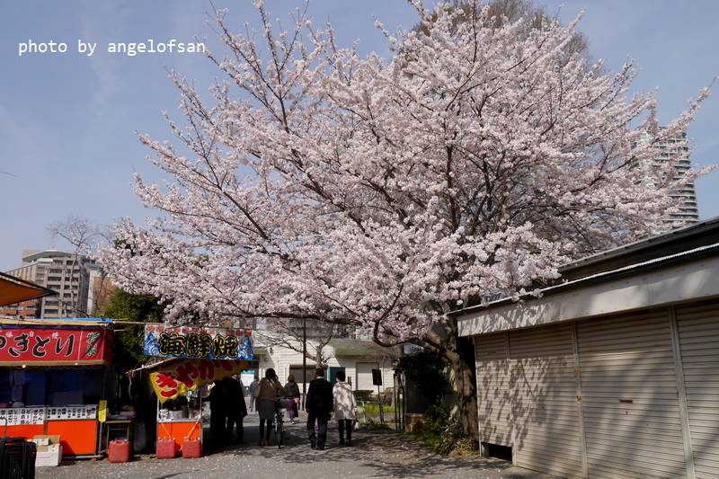 P1230192.JPG P1230192.JPG