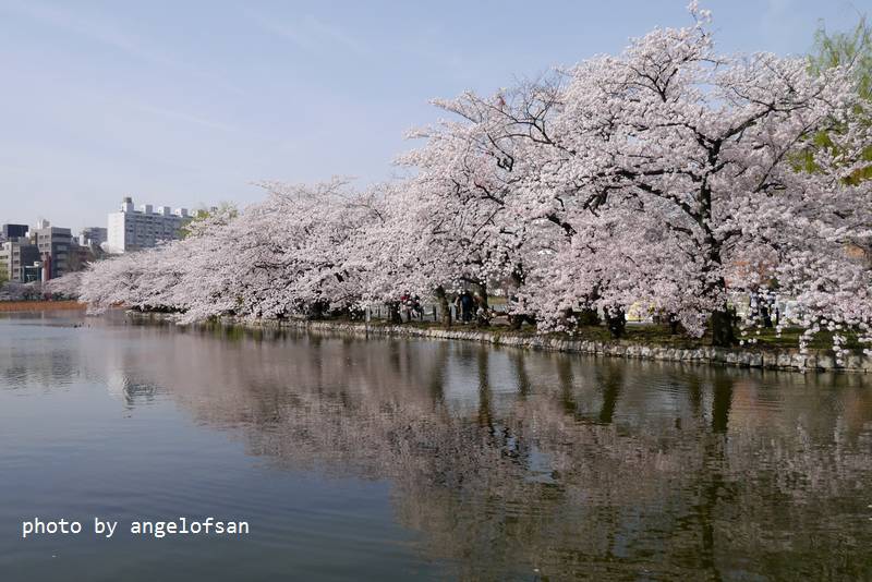 P1230186.JPG P1230186.JPG