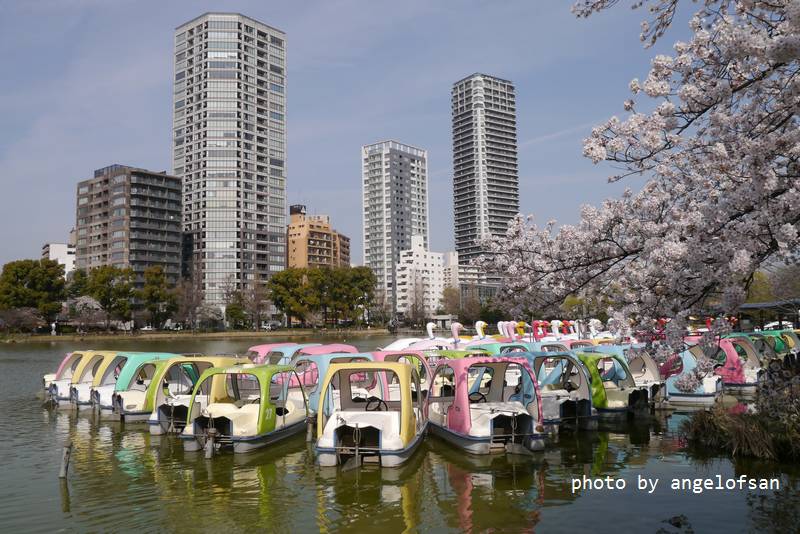 P1230210.JPG P1230210.JPG