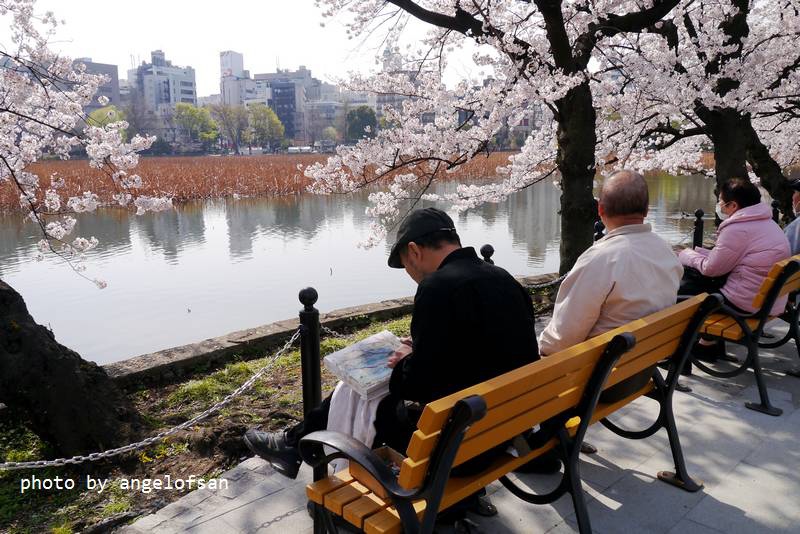 P1230218.JPG P1230218.JPG