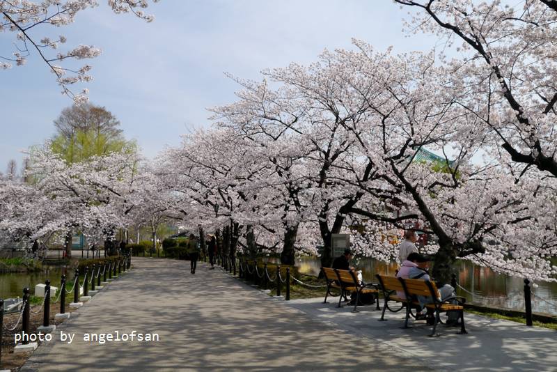 P1230220.JPG P1230220.JPG