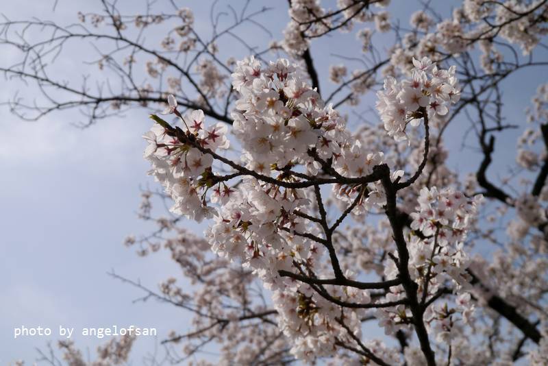 P1230244.JPG P1230244.JPG