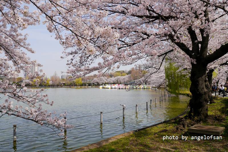 P1230240.JPG P1230240.JPG