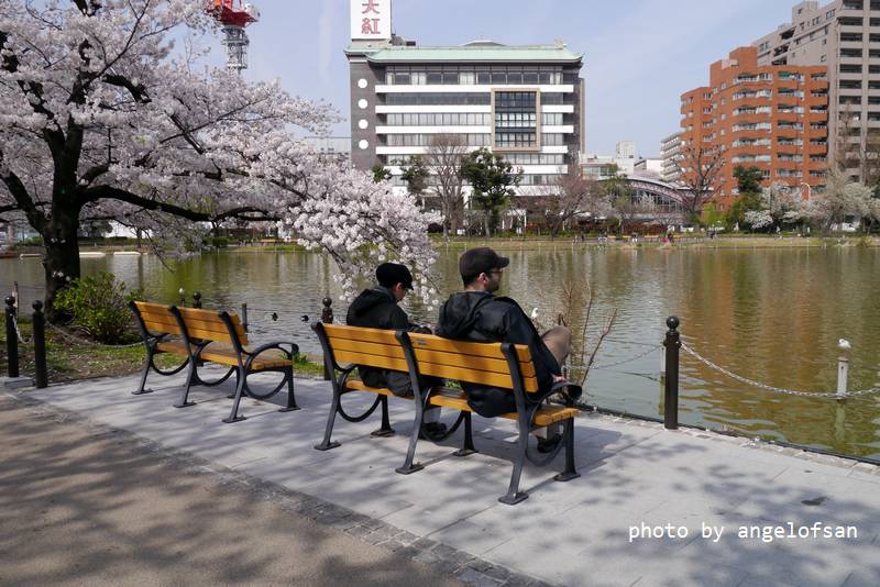 P1230259.JPG P1230259.JPG