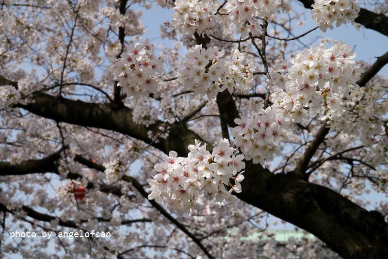 P1230265.JPG P1230265.JPG