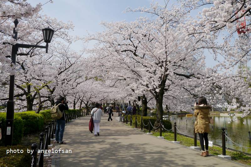 P1230273.JPG P1230273.JPG